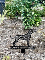 Jay Ziegler review photo