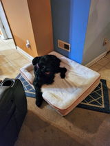 Muriel Mosby review photo