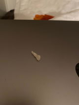 Erna review photo