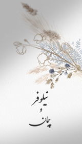 Niloufar Jafari review photo