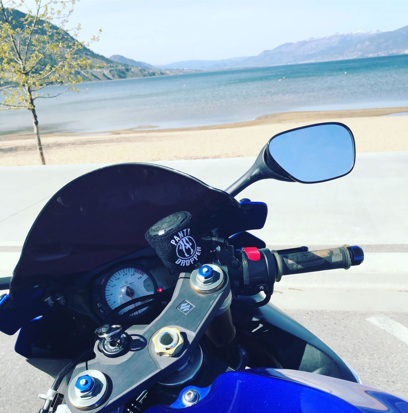 Panty Dropper - Reservoir Cover - Moto Loot