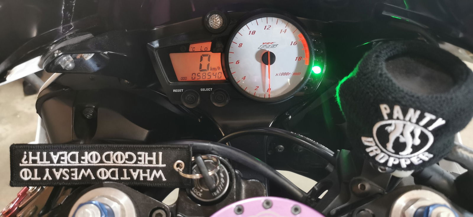 Panty Dropper - Reservoir Cover - Moto Loot
