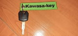 Petyo Dankov review photo
