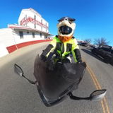 Brett Rinn review photo