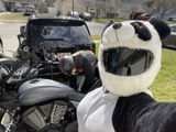 Manda Panda review photo