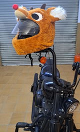 Pablo Pous review photo