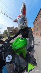 Batman Motorcycle Rider review photo