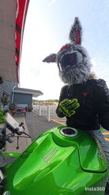 Batman Motorcycle Rider review photo