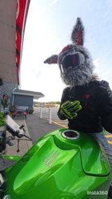 Batman Motorcycle Rider review photo