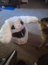 Danae Whisenhunt review photo