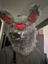 Taz review photo