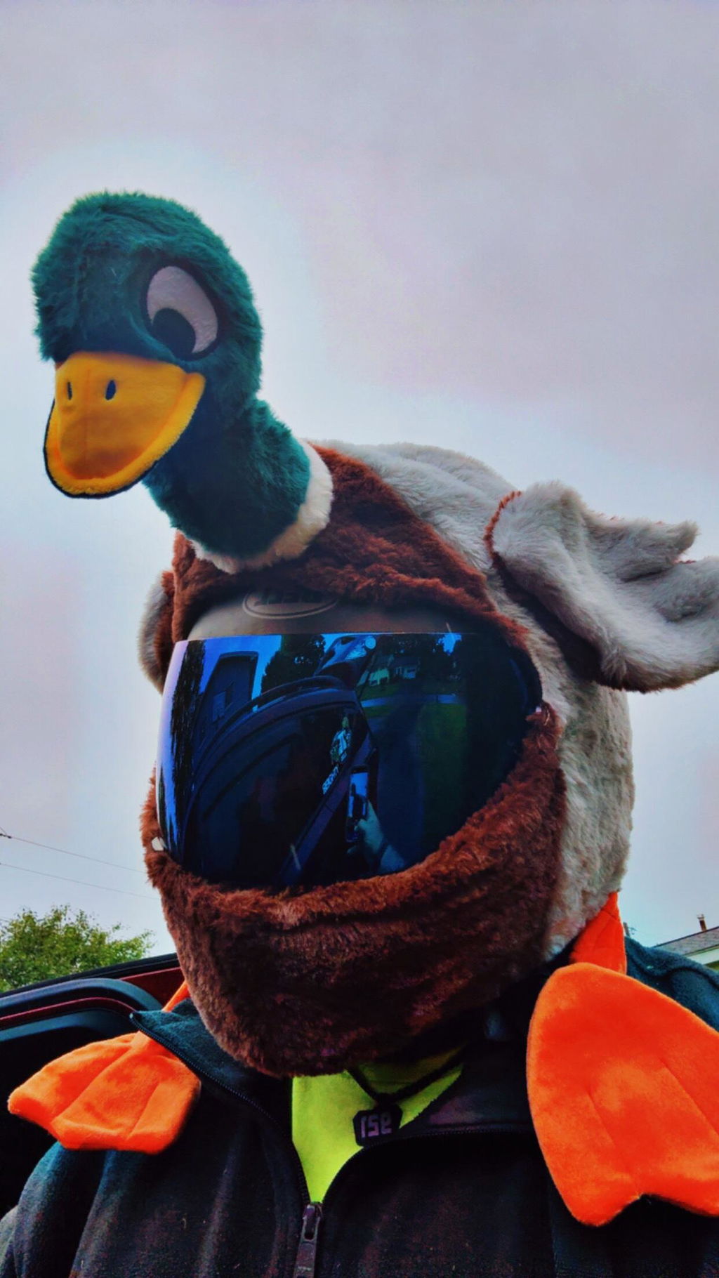duck motorcycle helmet cover COOLCASC multisport Sports & Outdoors youre riding safer too Ducking helmet cover (universal size)