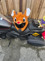 Diddykong review photo