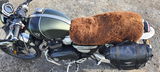 Mike the Bike 1200XC review photo