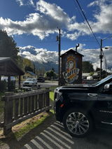 Susan Williams review photo