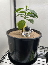 Rebecca Beitz Beitz review photo