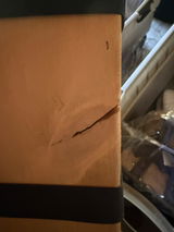 Jodi Badershall review photo