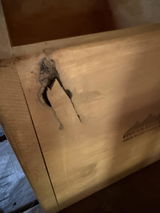 Jodi Badershall review photo