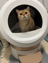 Sofía review photo