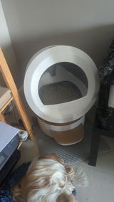 Anonyme review photo