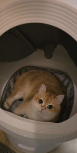 匿名 review photo
