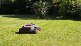 Stefano M review photo