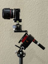 Thomas Looy review photo