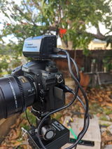NEAL LANGERMAN review photo