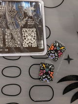 E.H. review photo