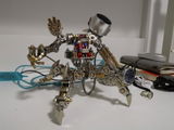 Bernie review photo