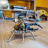 Gustavo review photo