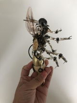 Angel review photo
