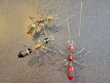 Richard Zeigler review photo