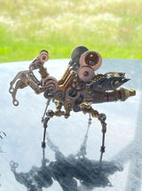 M.F. review photo