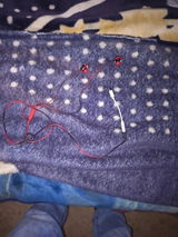 Felicia Borges review photo
