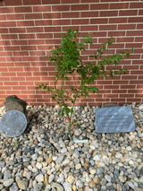 Gregory L Hirzel review photo