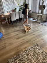 Aneta D. review photo
