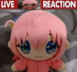 H. review photo