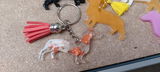 Aj review photo