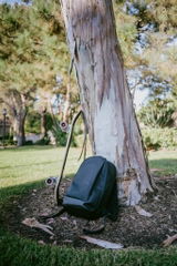 Wen review photo