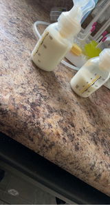 Rama Elmi review photo