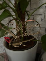 Jaylin review photo