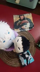 v*****n review photo