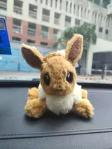 alq_ex review photo