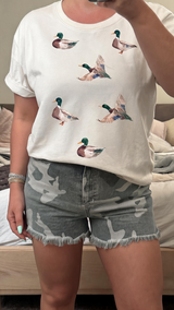 Addison E review photo