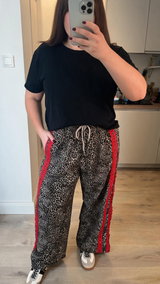 Paisley Q review photo