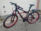 Rafael N. review photo