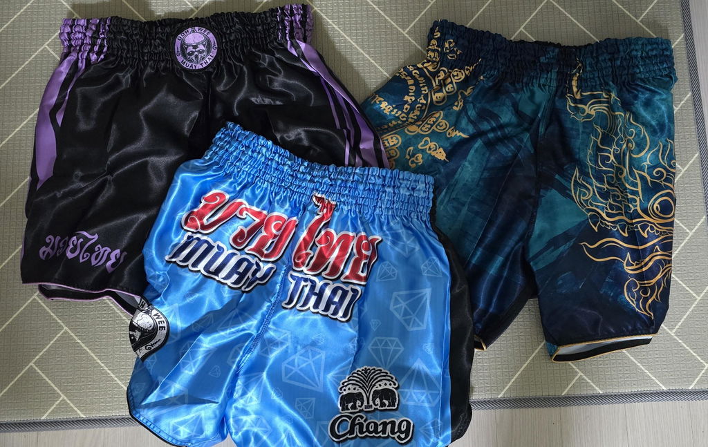 Phaya Naga ≋ Muay Thai Fight Shorts in Aqua Blue and Gold