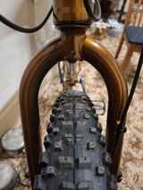 Thomas Brosch review photo