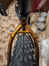Thomas Brosch review photo